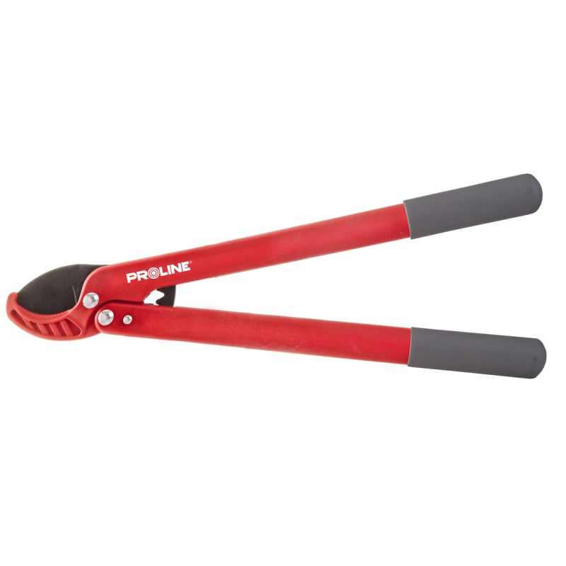 FOARFECA CRENGI CU MANER FIBRA SI LAMA LATA / 35MM