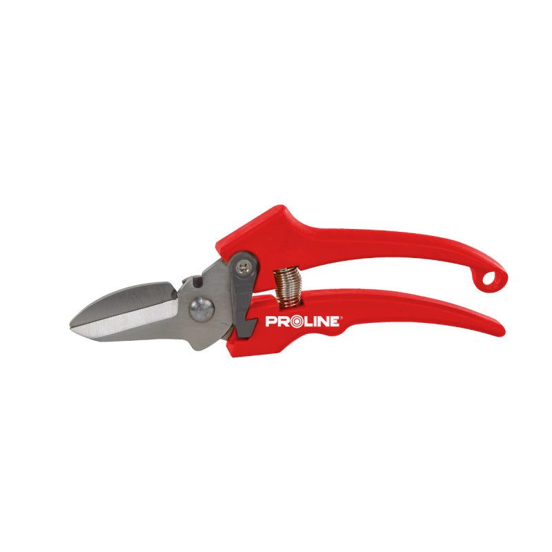 FOARFECA VIE INOX ALUNGITA / 18MM