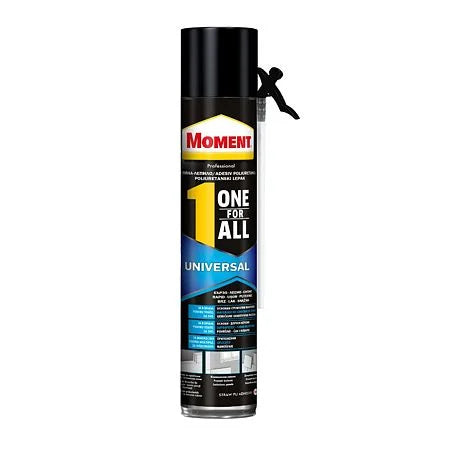 MOMENT ONE FOR ALL FOAM 750ML
