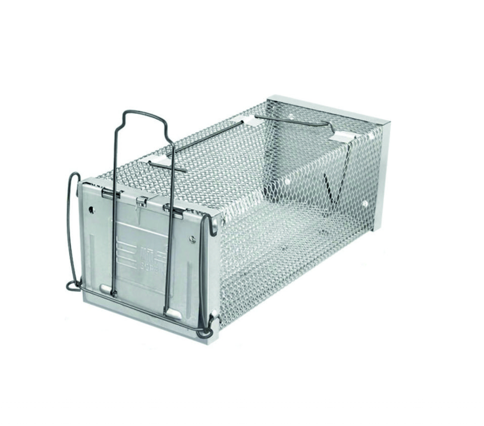 Cursa sobolani 6 x 10 x 8
