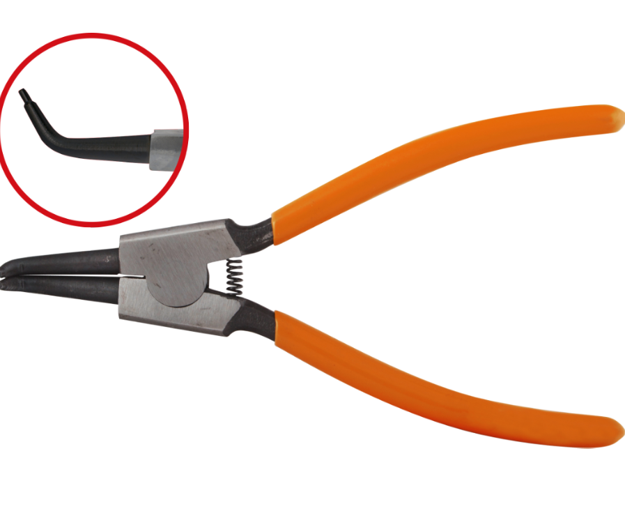 Cleste Indoit-Arbore