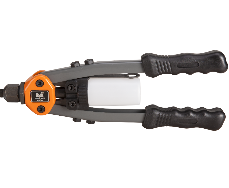 Cleste Nituri Pop PLUS