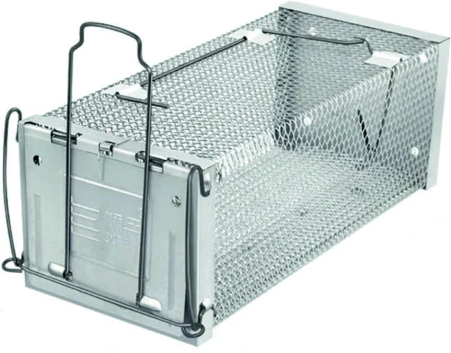 RAT RACE 30 x 12.7 x 12.7 cm