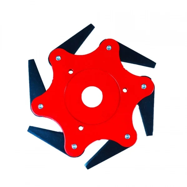 DISC STEA MOTOCOASA 6T