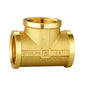 TEU BRONZ