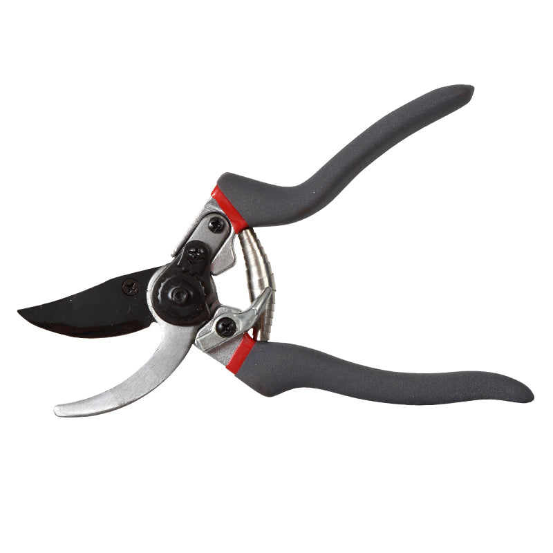 FOARFECA VIE CU LAMELE / 19MM