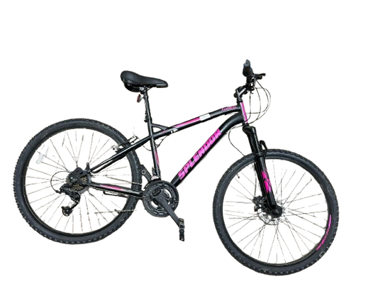 ADULT BICYCLE 28''