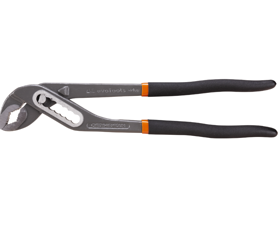 Cleste Papagal Plus
