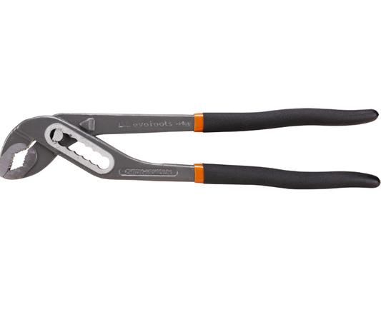 Cleste Papagal Plus