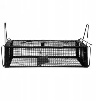 RAT RACE 50 x 15 x 15